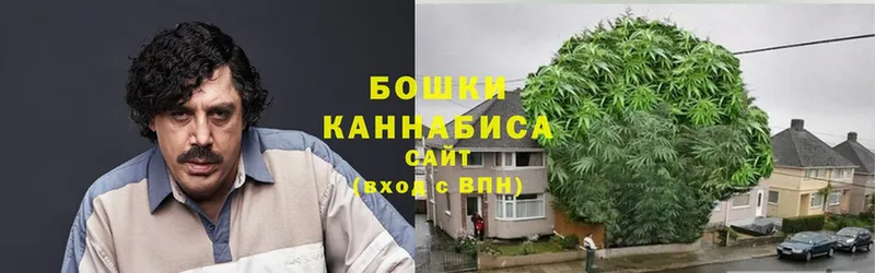 Канабис план  Михайловск 